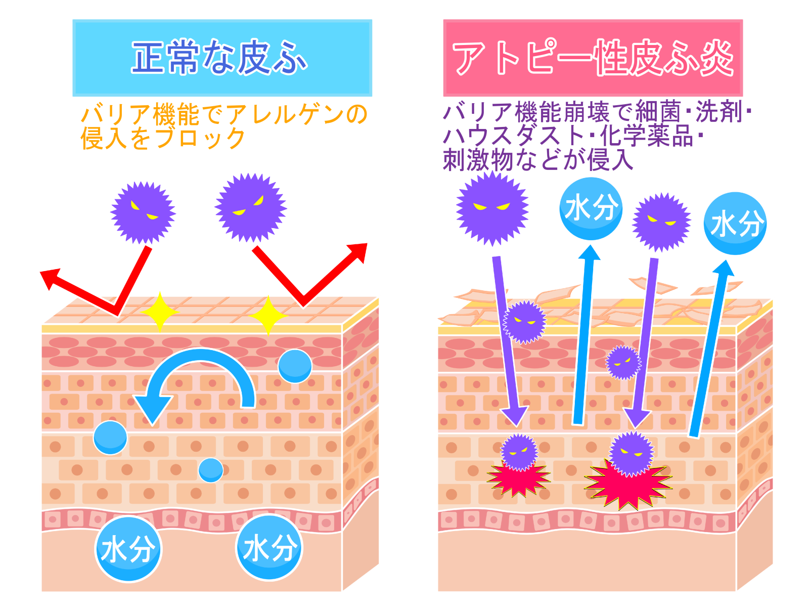 頭皮健康 カラーサロンmegumi 福岡市城南区片江にある頭皮改善とヘアカラー専門の美容室